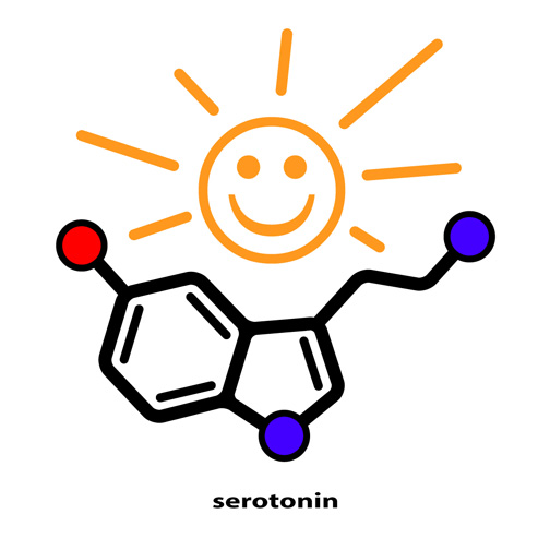 serotonin sun